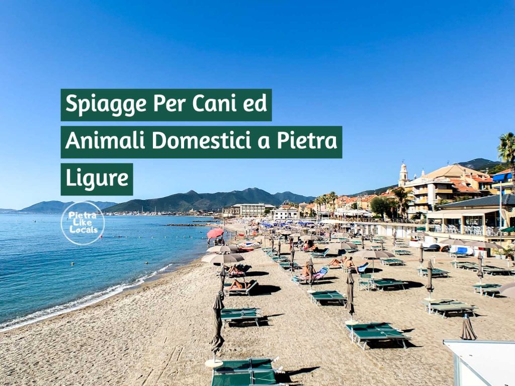 immagine di copertina dell'articolo sulle spiagge per cani a Pietra Ligure